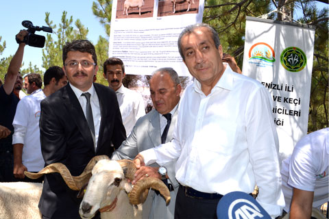 Denizli örnek oldu