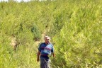 Bu kez Orman İdaresi tapulu araziyi işgal etti