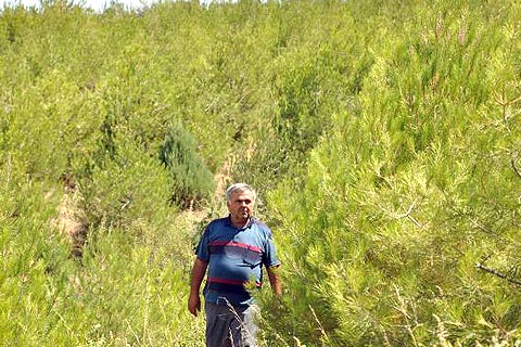 Bu kez Orman İdaresi tapulu araziyi işgal etti