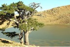 Fotoğraflarla Eren Günü