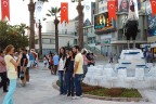 DENİZLİ HOROZLA HASRET GİDERDİ