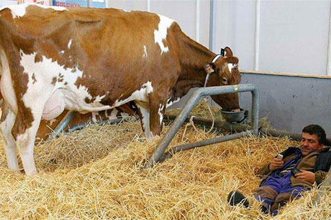Çiftçiye destek affı geldi