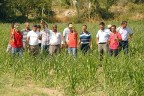 Birlik ödemedi çiftçi susuz kaldı