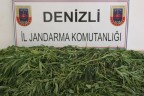 6 ilçede 12 ayrı operasyon: 14 gözaltı