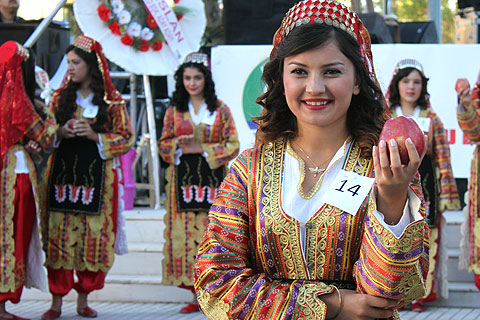 Elma güzelleri boy gösterdi