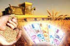 Çiftçiye büyükşehir darbesi