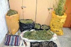 10 Kilo esrar ele geçirildi