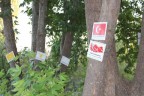 “Çınar-Türk Anıtı” ziyarete açıldı