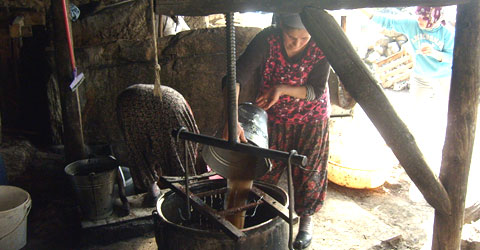 denizli-kizilcaboluk-carpina-muzesi-ic