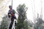 Park ve bahçelerinde kış hazırlığı