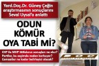 Yerel seçimler öncesi seçmen profili