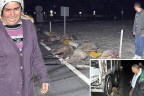 Sürünün içine kamyon daldı: 21 koyun telef oldu