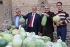 Su kabağı çiftçinin geçim kaynağı oldu