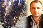 Honaz’da kiraz üretimi tehlikede
