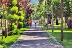 Denizli Belediyesi’nden 1 yılda 87 park