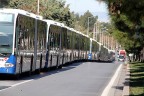 Yoğun hatlara körüklü otobüs