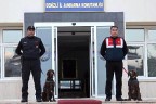Jandarmanın gözbebekleri ‘vaşak’ ile ‘ahir’