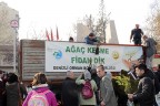 Ağaç kesme, fidan dik!