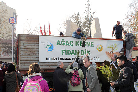 Ağaç kesme, fidan dik!