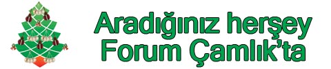 forum-camlik-anons