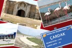 Sahip olduklarıyla kıskandırıyor ama…