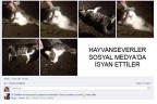 Tek tek zehirliyorlar iddiası