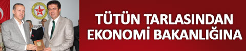 tutun-tarlasi-