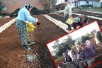 Tütün üreticinin elinde kaldı