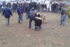 Cankurtaran’da vahşet