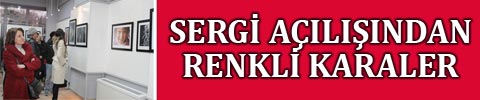 denizli-resim-sergisi