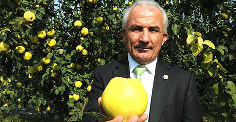denizli-tarim-ihracati-artti-ic