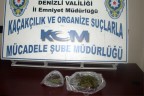 Uyuşturucu operasyonu: 2 gözaltı