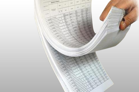 Seçmen listeleri 23 Ocak’ta askıdan inecek