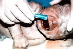İLK BAKIŞ İLK POZ