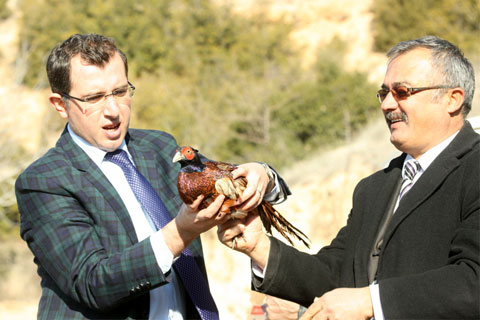 Sülünler doğayla buluştu