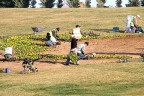 Denizli İlkbahara hazırlanıyor