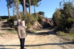 Şevik ‘Sabuncu Yolu açılıyor’ müjdesini verdi