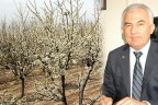 Eğer don olursa bu meyveleri unutun