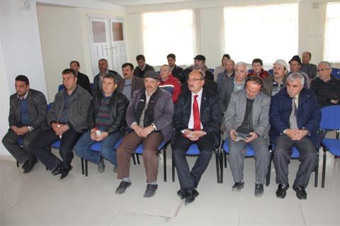 Tavas Ovası’nda salatalık üretecek