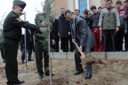 175. yaşa 306 fidan
