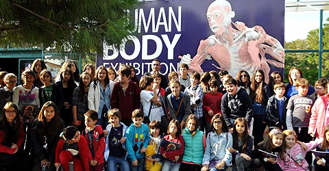 ic-human-body