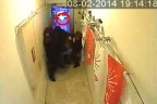 Polisin tartışılan eylemci yakalama yöntemi