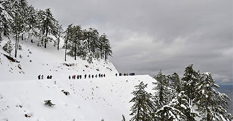 bozdağ