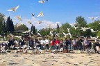 Güvercinler şehitler için uçtu
