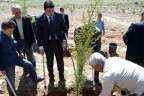 Acıpayam’da fidan dikimi