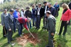 DDH Hatıra Ormanı oluşturdu