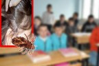 Denizli’de bit salgını velilerin derdi oldu ama?