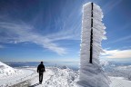 DEFSAD, Avusturya’da altın madalya kazandı