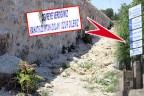 AĞAÇLAR DUVARA KURBAN