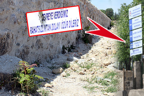 AĞAÇLAR DUVARA KURBAN